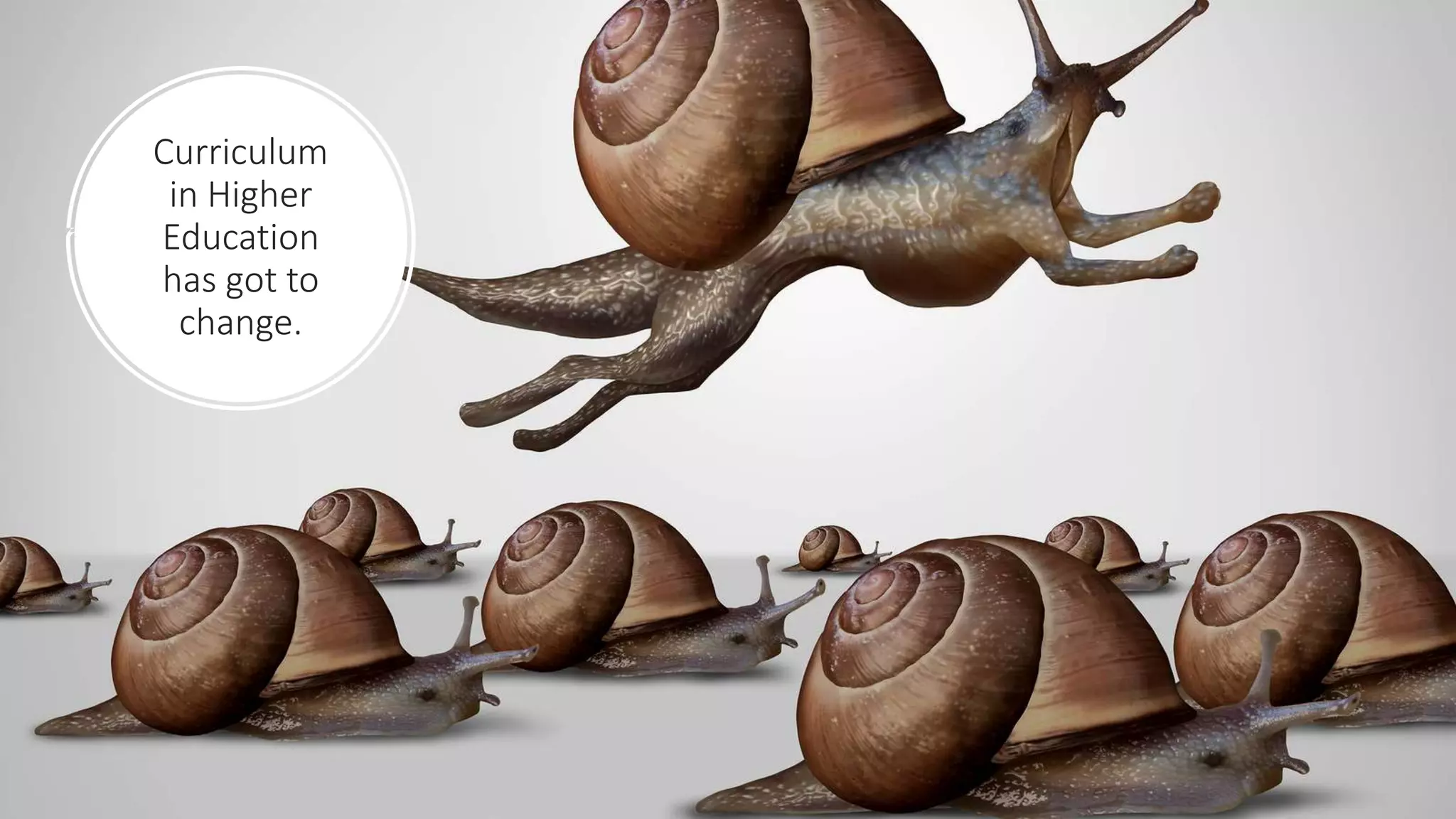 Curriculum
in Higher
Education
has got to
change.
 