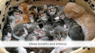 (deep breaths and kittens)
 