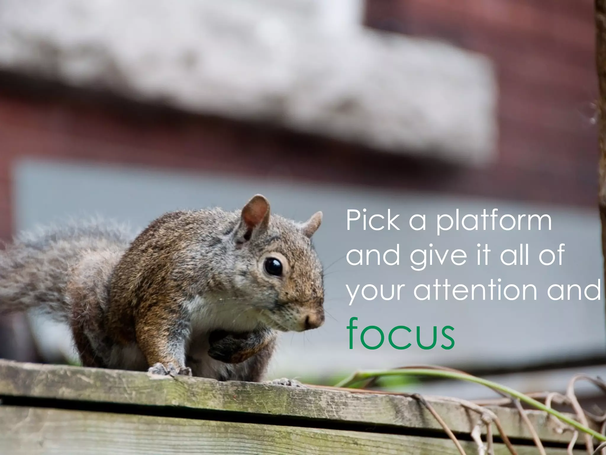 Pick a platform
and give it all of
your attention and
focus
 