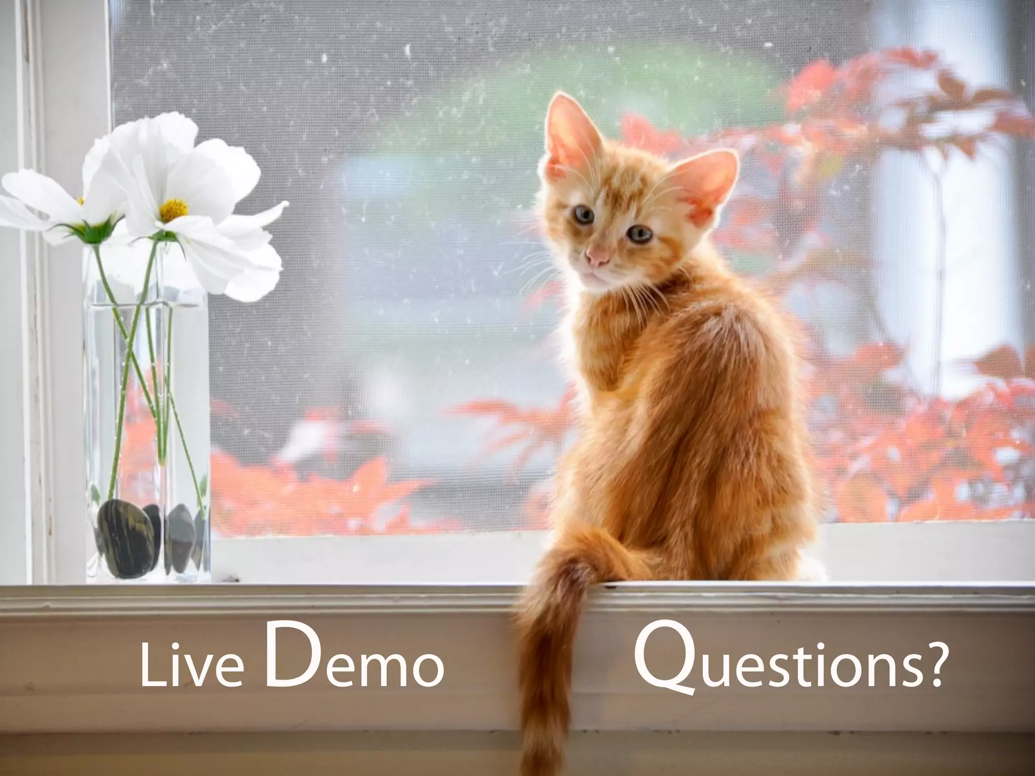 Live Demo          Questions?
        annalisa.boccia@queensu.ca
 