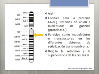  9q21 
 Codifica para la proteína 
GNAQ Proteínas de unión a 
nucleótidos de guanina 
(proteínas G). 
 Participa como moduladores 
o transductores en los 
diferentes sistemas de 
señalización transmembrana. 
 Regula la selección y la 
supervivencia de las células B 
http://ghr.nlm.nih.gov/gene/GNAQ 
 