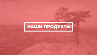 НАШИ ПРОДУКТЫ
 