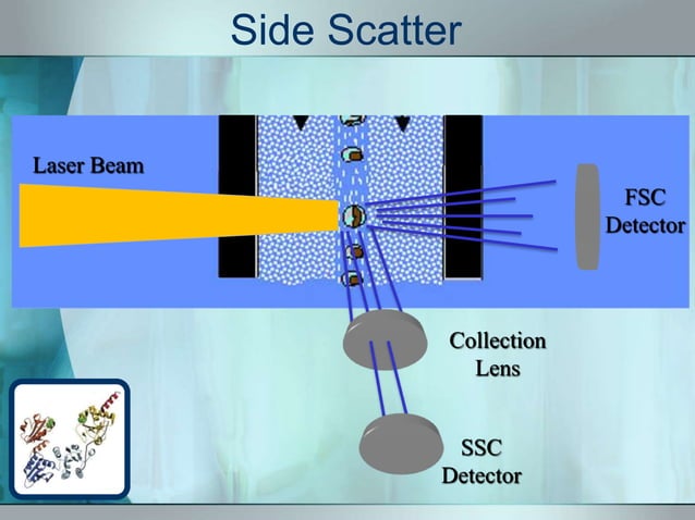 Small Cell Fosc Fluorescence- Activated Cell Sorter (FACS) | PPTX