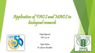 Application of FACS and MACS in
biological research
Deepak Agarwal
FBT-02-06
Major Advisor
Dr. Aparna Chaudhari
 