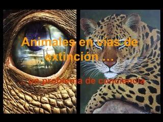 Animales en vías de
   extinción …
… un problema de conciencia
 