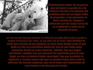 Prácticamente todos los proyectos
                                         que se hacen si ayudan de una
                                        manera o de otra a la solución del
                                        problema pero así se hagan miles
                                         de proyectos, si las personas no
                                            tiene conciencia, respeto y
                                        valoración por las cosas nunca se
                                           va a solventar y cada vez la
                                                situación es peor,


por eso es que hay que empezar en todas las escuelas del mundo a ayudar a
 crearle conciencia a los niños, ya que ellos son el futuro; pero también es
cierto que muchas de las especies no tiene tanto tiempo como el que
     tarda un niño en convertirse adulto por eso es que todos estor
      proyectos donde se crean reservas, habitats, hay que seguir
  haciéndolo, también hay que aseverar las sanciones para la caza
   ilegal, es más no debería haber caza legal, hay que aumentar la
 vigilancia y muchas cosas más que se pueden hacer para evitar la
 extinción de muchas especies, que como todas son importantes de
                 una manera o de otra para el mundo.
 