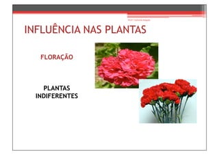 Prof.ª Gabriela Salgado




INFLUÊNCIA NAS PLANTAS

   FLORAÇÃO



    PLANTAS
  INDIFERENTES
 