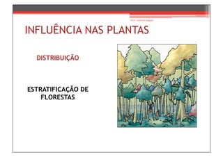 Prof.ª Gabriela Salgado




INFLUÊNCIA NAS PLANTAS

  DISTRIBUIÇÃO



ESTRATIFICAÇÃO DE
    FLORESTAS
 