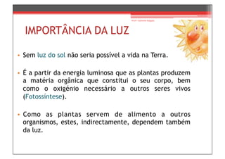 Prof.ª Gabriela Salgado




  IMPORTÂNCIA DA LUZ

•  Sem luz do sol não seria possível a vida na Terra.

•  É a partir da energia luminosa que as plantas produzem
   a matéria orgânica que constitui o seu corpo, bem
   como o oxigénio necessário a outros seres vivos
   (Fotossíntese).

•  Como as plantas servem de alimento a outros
   organismos, estes, indirectamente, dependem também
   da luz.
 