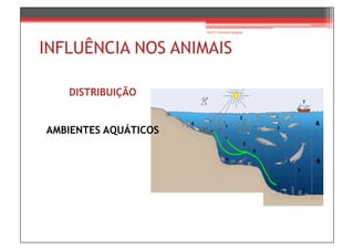 Prof.ª Gabriela Salgado




INFLUÊNCIA NOS ANIMAIS

   DISTRIBUIÇÃO


AMBIENTES AQUÁTICOS
 