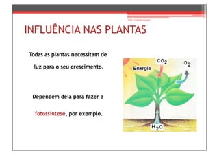 Prof.ª Gabriela Salgado




INFLUÊNCIA NAS PLANTAS

Todas as plantas necessitam de

 luz para o seu crescimento.




 Dependem dela para fazer a


  fotossíntese, por exemplo.
 