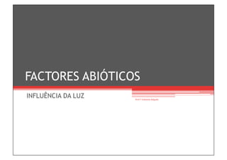 FACTORES ABIÓTICOS
INFLUÊNCIA DA LUZ   Prof.ª Gabriela Salgado
 