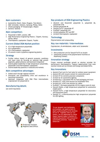 DSM: Factbook 2013 | PDF