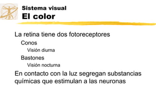 Sistema visual
El color
La retina tiene dos fotoreceptores
Conos
Visión diurna
Bastones
Visión nocturna
En contacto con la luz segregan substancias
químicas que estimulan a las neuronas
 