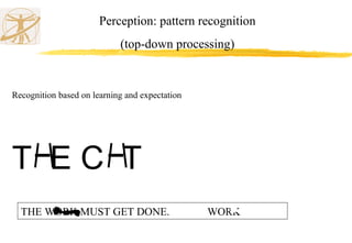 Perception: pattern recognition
(top-down processing)
Recognition based on learning and expectation
T E C T
THE WORK MUST GET DONE. WORK
 