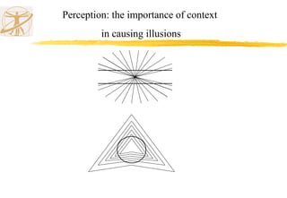 Perception: the importance of context
in causing illusions
 