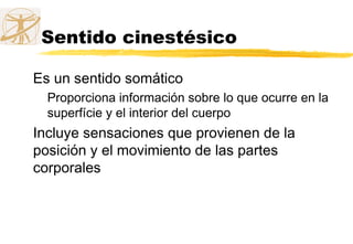 Sentido cinestésico
Es un sentido somático
Proporciona información sobre lo que ocurre en la
superfície y el interior del cuerpo
Incluye sensaciones que provienen de la
posición y el movimiento de las partes
corporales
 