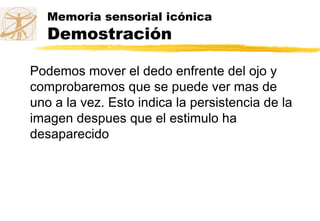 Memoria sensorial icónica
Demostración
Podemos mover el dedo enfrente del ojo y
comprobaremos que se puede ver mas de
uno a la vez. Esto indica la persistencia de la
imagen despues que el estimulo ha
desaparecido
 