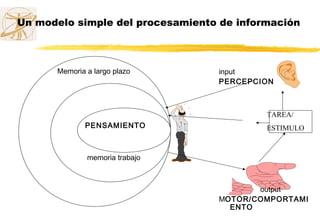 Un modelo simple del procesamiento de información
Memoria a largo plazo
PENSAMIENTO
memoria trabajo
input
PERCEPCION
output
MOTOR/COMPORTAMI
ENTO
TAREA/
ESTIMULO
 