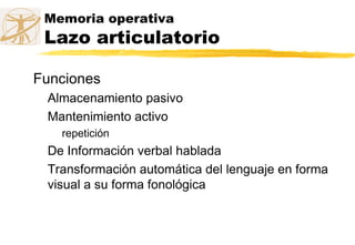 Memoria operativa
Lazo articulatorio
Funciones
Almacenamiento pasivo
Mantenimiento activo
repetición
De Información verbal hablada
Transformación automática del lenguaje en forma
visual a su forma fonológica
 