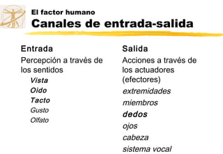 El factor humano
Canales de entrada-salida
Entrada
Percepción a través de
los sentidos
Vista
Oido
Tacto
Gusto
Olfato
Salida
Acciones a través de
los actuadores
(efectores)
extremidades
miembros
dedos
ojos
cabeza
sistema vocal
 