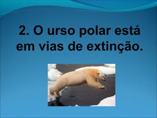 2. O urso polar está 
em vias de extinção. 
 