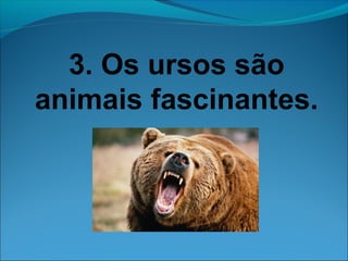 3. Os ursos são 
animais fascinantes. 
 