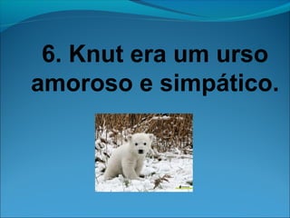 6. Knut era um urso 
amoroso e simpático. 
 
