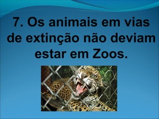 7. Os animais em vias 
de extinção não deviam 
estar em Zoos. 
 