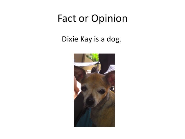 Fact Or Opinion Game