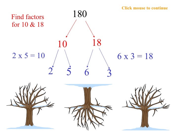 Factor Trees