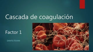 Cascada de coagulación
Factor 1
DANTE ITSVAN
 