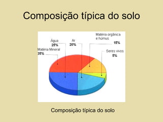 Composição típica do solo Composição típica do solo 