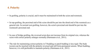 4. Polarity
• In grafting, polarity is crucial, and it must be maintained in both the scion and rootstock.
• In top-grafting, the proximal end of the scion should be put into the distal end of the rootstock as a
general rule. In normal root grafting, however, the scion's proximal end should be put into the
rootstock's proximal end.
• In case of bridge grafting, the reversed scion does not increase from its original size, whereas the
scion with correct polarity enlarges normally (Hartmann et al., 2011).
• The rule for maintaining correct polarity in T-budding or patch budding is less rigid. The buds
(scion) can be inserted with the polarity reversed and still form permanent unions. When budding,
however, it is still preferable to maintain polarity (Hartmann et al., 2011)
 