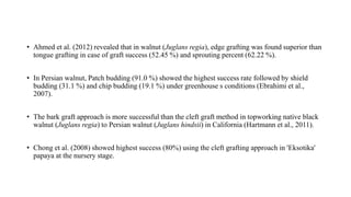 • Ahmed et al. (2012) revealed that in walnut (Juglans regia), edge grafting was found superior than
tongue grafting in case of graft success (52.45 %) and sprouting percent (62.22 %).
• In Persian walnut, Patch budding (91.0 %) showed the highest success rate followed by shield
budding (31.1 %) and chip budding (19.1 %) under greenhouse s conditions (Ebrahimi et al.,
2007).
• The bark graft approach is more successful than the cleft graft method in topworking native black
walnut (Juglans regia) to Persian walnut (Juglans hindsii) in California (Hartmann et al., 2011).
• Chong et al. (2008) showed highest success (80%) using the cleft grafting approach in 'Eksotika'
papaya at the nursery stage.
 