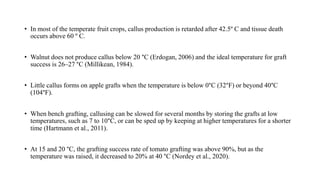 • In most of the temperate fruit crops, callus production is retarded after 42.5º C and tissue death
occurs above 60 º C.
• Walnut does not produce callus below 20 °C (Erdogan, 2006) and the ideal temperature for graft
success is 26–27 °C (Millikean, 1984).
• Little callus forms on apple grafts when the temperature is below 0°C (32°F) or beyond 40°C
(104°F).
• When bench grafting, callusing can be slowed for several months by storing the grafts at low
temperatures, such as 7 to 10°C, or can be sped up by keeping at higher temperatures for a shorter
time (Hartmann et al., 2011).
• At 15 and 20 °C, the grafting success rate of tomato grafting was above 90%, but as the
temperature was raised, it decreased to 20% at 40 °C (Nordey et al., 2020).
 