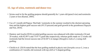 12. Age of scion, rootstock and donor tree
• Scions used in for the grafting purpose should generally be 1 years old (pencil size) and rootstocks
2 years or less (Kumar, 2005).
• Use of 1-month-old Papaya ‘Red lady’ rootstocks in the summer resulted in the shortest sprouting
time and the highest graft success rate (93.33 percent) and graft growth in the greenhouse (Nguyen
and Yen, 2018).
• Damtew and Assefa (2018) revealed grafting success was enhanced with older rootstocks (24 and
28 weeks), with 82.88 % and 75.07 % graft take respectively, whereas grafts made on 12 weeks old
rootstocks had the lowest success rate of 42.68 % in mango (Mangifera indica L.) using cleft
grafting.
• Cholid et al. (2014) stated that the best grafting method in physic nut (Jatropha curcas L.) was a
combination of 2 months old rootstock with top cleft or V-shaped grafting.
 