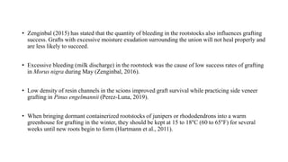• Zenginbal (2015) has stated that the quantity of bleeding in the rootstocks also influences grafting
success. Grafts with excessive moisture exudation surrounding the union will not heal properly and
are less likely to succeed.
• Excessive bleeding (milk discharge) in the rootstock was the cause of low success rates of grafting
in Morus nigra during May (Zenginbal, 2016).
• Low density of resin channels in the scions improved graft survival while practicing side veneer
grafting in Pinus engelmannii (Perez-Luna, 2019).
• When bringing dormant containerized rootstocks of junipers or rhododendrons into a warm
greenhouse for grafting in the winter, they should be kept at 15 to 18°C (60 to 65°F) for several
weeks until new roots begin to form (Hartmann et al., 2011).
 