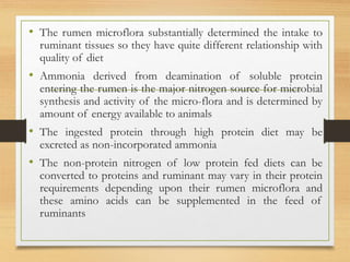 • The rumen microflora substantially determined the intake to
ruminant tissues so they have quite different relationship with
quality of diet
• Ammonia derived from deamination of soluble protein
entering the rumen is the major nitrogen source for microbial
synthesis and activity of the micro-flora and is determined by
amount of energy available to animals
• The ingested protein through high protein diet may be
excreted as non-incorporated ammonia
• The non-protein nitrogen of low protein fed diets can be
converted to proteins and ruminant may vary in their protein
requirements depending upon their rumen microflora and
these amino acids can be supplemented in the feed of
ruminants
 