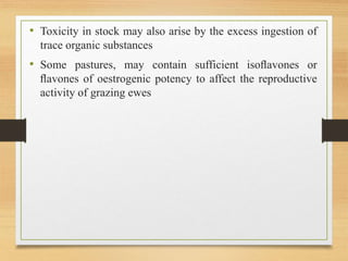 • Toxicity in stock may also arise by the excess ingestion of
trace organic substances
• Some pastures, may contain sufficient isoﬂavones or
ﬂavones of oestrogenic potency to affect the reproductive
activity of grazing ewes
 
