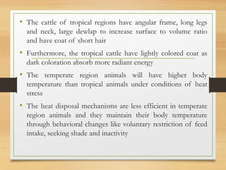 • The cattle of tropical regions have angular frame, long legs
and neck, large dewlap to increase surface to volume ratio
and have coat of short hair
• Furthermore, the tropical cattle have lightly colored coat as
dark coloration absorb more radiant energy
• The temperate region animals will have higher body
temperature than tropical animals under conditions of heat
stress
• The heat disposal mechanisms are less efficient in temperate
region animals and they maintain their body temperature
through behavioral changes like voluntary restriction of feed
intake, seeking shade and inactivity
 