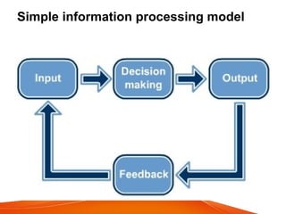 Simple information processing model
 
