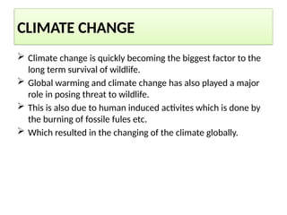 CLIMATE CHANGE
 Climate change is quickly becoming the biggest factor to the
long term survival of wildlife.
 Global warming and climate change has also played a major
role in posing threat to wildlife.
 This is also due to human induced activites which is done by
the burning of fossile fules etc.
 Which resulted in the changing of the climate globally.
 