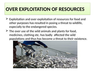 OVER EXPLOITATION OF RESOURCES
 Exploitation and over exploitation of resources for food and
other purposes has resulted in posing a threat to wildlife,
especially to the endangered species.
 The over use of the wild animals and plants for food,
medicines, clothing etc. has badly affected the wild
populations and thus has become a threat to their existence.
 