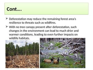 Cont….
 Deforestation may reduce the remaining forest area’s
resilience to threats such as wildfires.
 With no tree canopy present after deforestation, such
changes in the environment can lead to much drier and
warmer conditions, leading to even further impacts on
wildlife habitats.
 