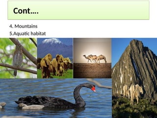 Cont….
4. Mountains
5.Aquatic habitat
 