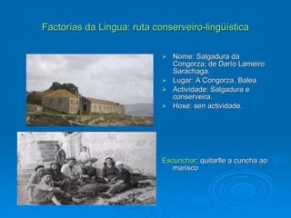Factorías da Lingua: ruta conserveiro-lingüística Nome: Salgadura da Congorza; de Darío Lameiro Sarachaga. Lugar: A Congorza. Balea Actividade: Salgadura e conserveira. Hoxe: sen actividade. Escunchar : quitarlle a cuncha ao marisco 