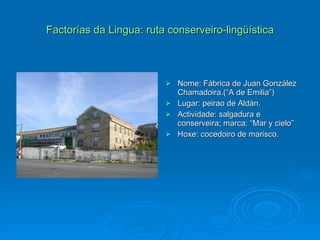 Factorías da Lingua: ruta conserveiro-lingüística Nome: Fábrica de Juan González Chamadoira.(“A de Emilia”) Lugar: peirao de Aldán. Actividade: salgadura e conserveira; marca: “Mar y cielo” Hoxe: cocedoiro de marisco. 