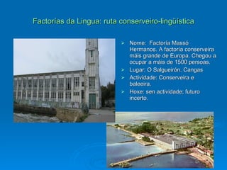 Factorías da Lingua: ruta conserveiro-lingüística Nome:  Factoría Massó Hermanos. A factoría conserveira máis grande de Europa. Chegou a ocupar a máis de 1500 persoas. Lugar: O Salgueirón. Cangas Actividade: Conserveira e baleeira.  Hoxe: sen actividade; futuro incerto. 