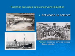 Factorías da Lingua: ruta conserveiro-lingüística Actividade na baleeira Abarloar : atracar un barco ao costado doutro; abordar. 